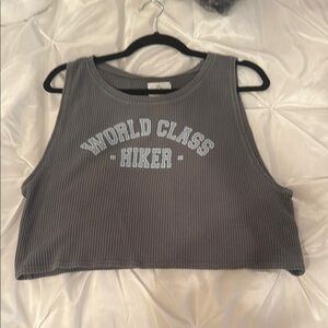 Aerie Gray Ribbed Sleeveless Crop Top